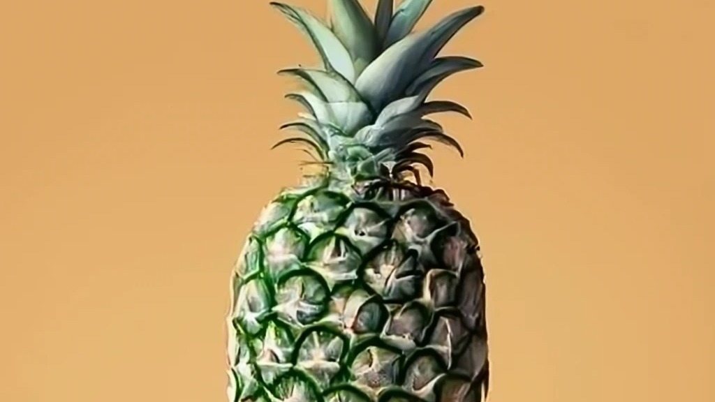 Main Banner Image 1